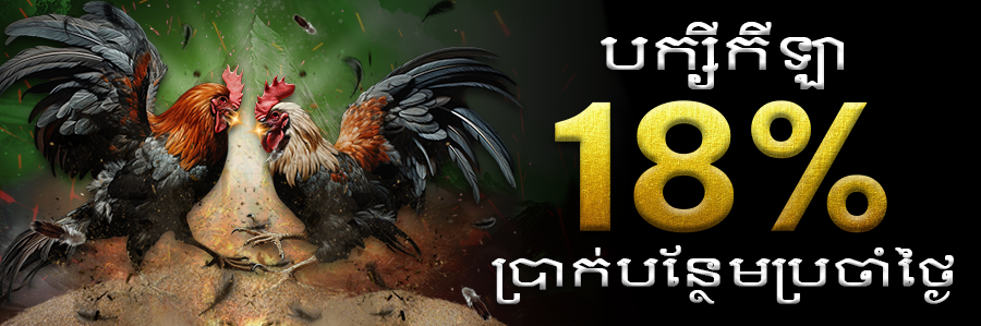 បក្សីកីឡា 18% ប្រាក់បន្ថែមប្រចាំថ្ងៃ