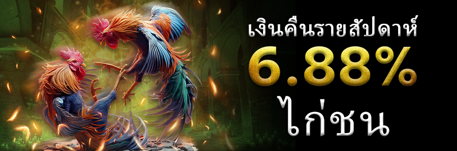เงินคืนรายสัปดาห์ 6.88% ไก่ชน